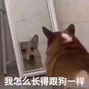 垫底压力吸血你和姨妈巾的区别就是没有B用