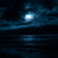 Nocturnal Sea