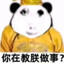 练习の坤