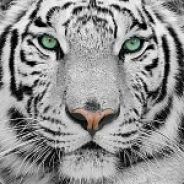 Tigerixx