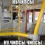 привет шахед
