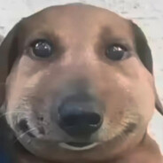 Жейсн Стетхм