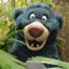 Stora Baloo