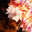 GabiMaru the Hollow