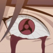 †_SHaRinGaN_†