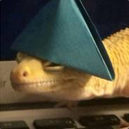 Lizard avatar