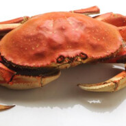 Crab™