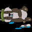 Badger