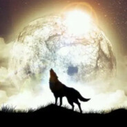 孤高的白狼科亚