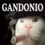 Mr.Gandonio