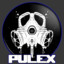 Pulex