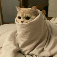 Finn