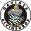 Gaviões Alvinegros