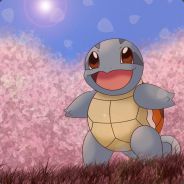 Squirtle711
