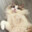 HaruMeow