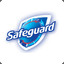 Safeguard