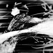 谢谢老板发大财