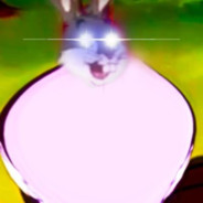 thicc chungus