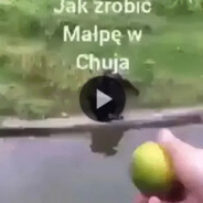 Płk. Majonez