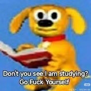 小猫你可以吃芝士汉堡