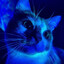 » Nooby «