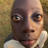 凉拌马马延的粉豹