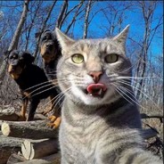 宝贝，我退休金下来了