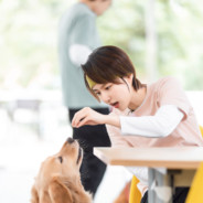 浪漫与卿不可辜负