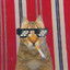 ᵖᵃᵖᵃ Lox