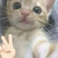 kacper