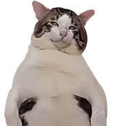 我还以为是减速带呢