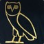 OlieDaOwl