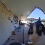 我们，＆人类。伱#*好！