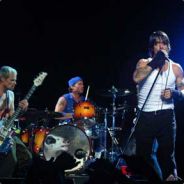 Bamse Kukken!!!!!!!!!!!!!