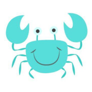 六年级（3）班12岁