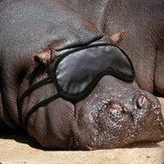 背刺达人戚老三