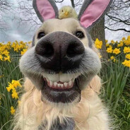 一拳捶死老太太