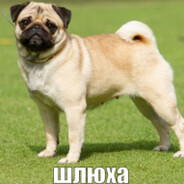 CHEREK - steam id 76561199483502560