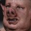 PIGMAN