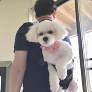 Haters always gonna hate