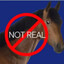 HORSE DENIER