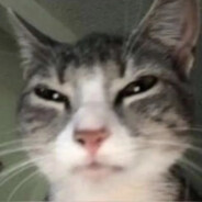 Typ6o [no⊹no] napaBo3uk