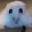 HammerHase