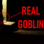 Top 10 Goblin Encounters (REAL!)