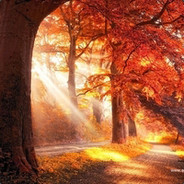 再回首恍然如梦