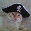 Capt. Not your Chinese