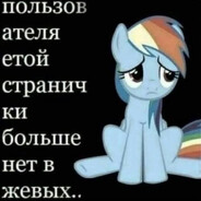 ВОДИТЕЛЬ НАМАЗА avatar