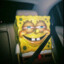 pasitovichツ