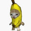 Narner Cat Face