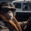 monkeydriving